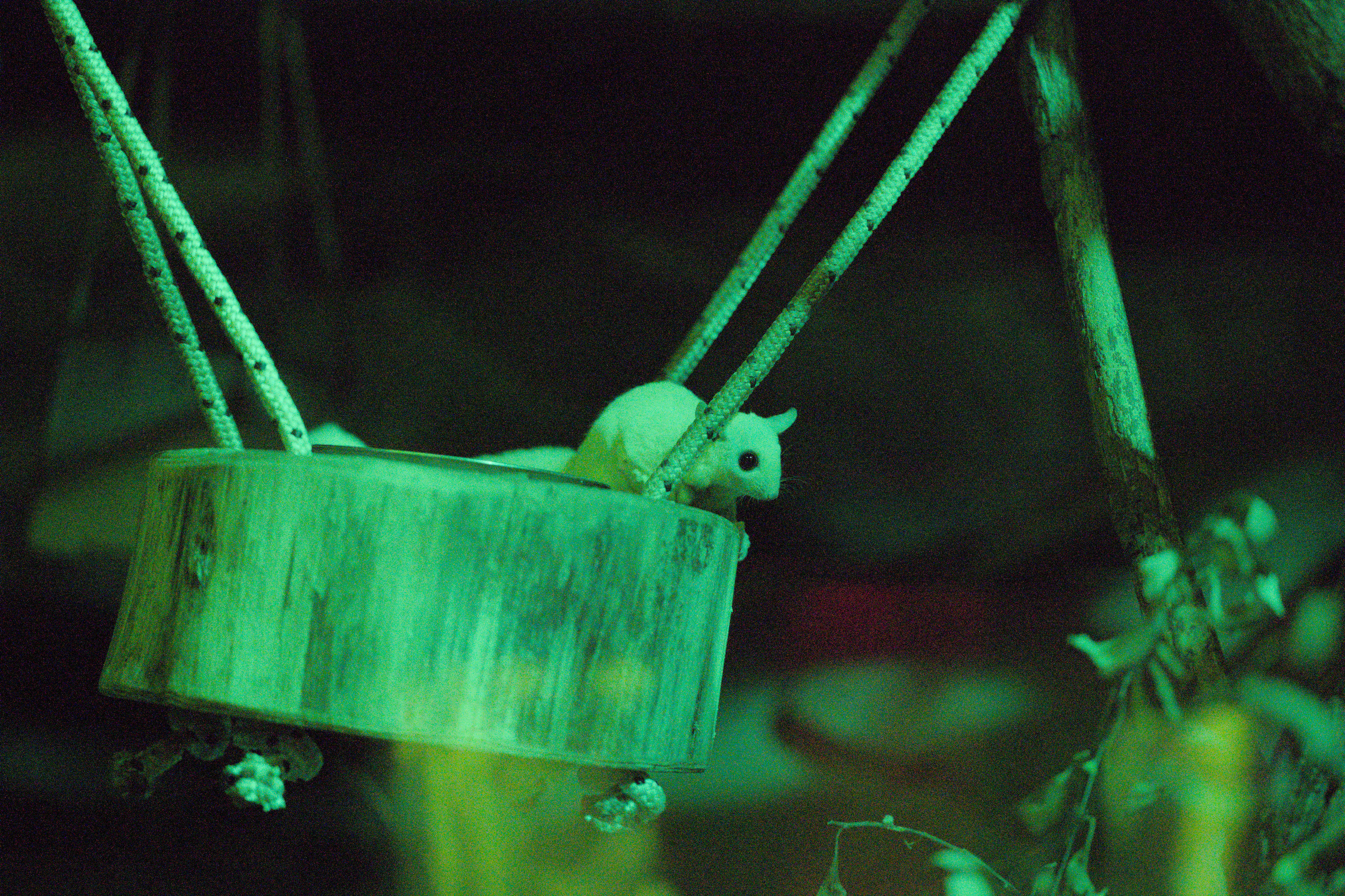 2025/10/12 - zoo/DSC_0263.jpg